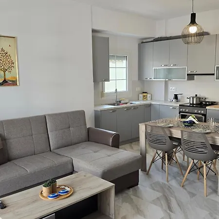 Beta-comfortable 100m From The By Optimum Link Apartment Paralia Katerinis